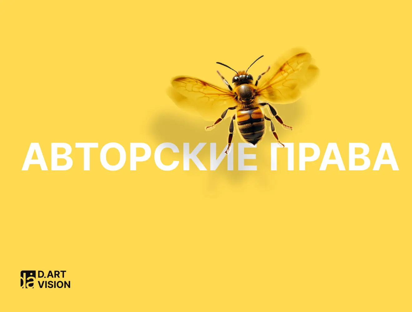 Как защитить карточку от копирования