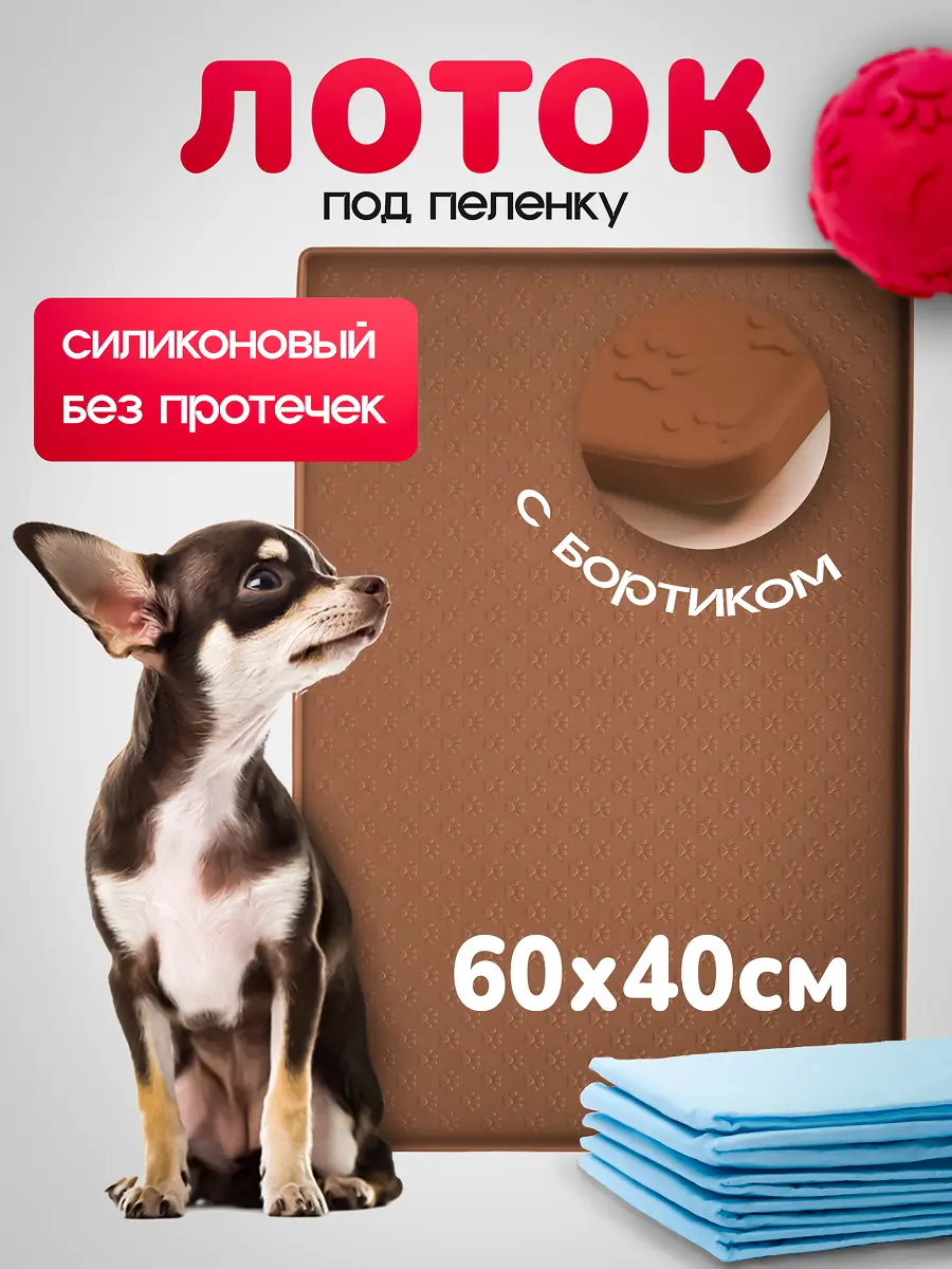 Анна, зоомагазин